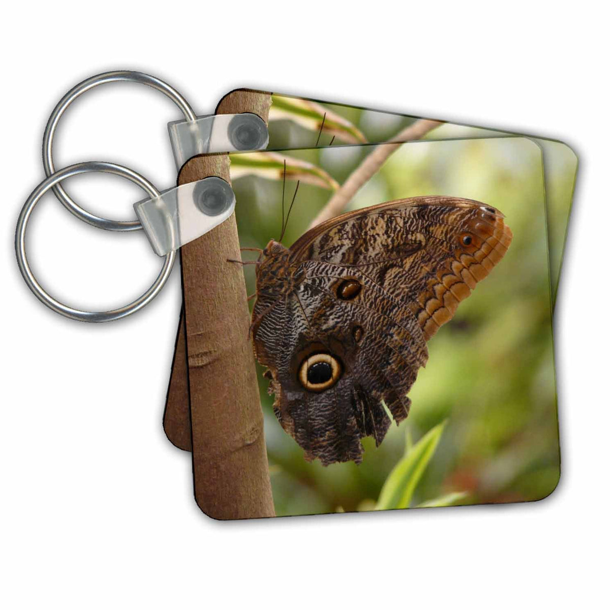 3dRose Key Chains Butterfly on a Tree- Nature Photography (kc-79147-1)
