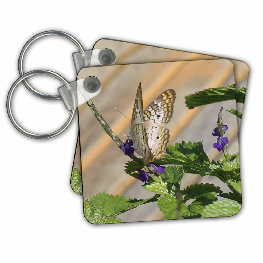 3dRose Key Chains Butterfly Pretty (kc-7922-1)