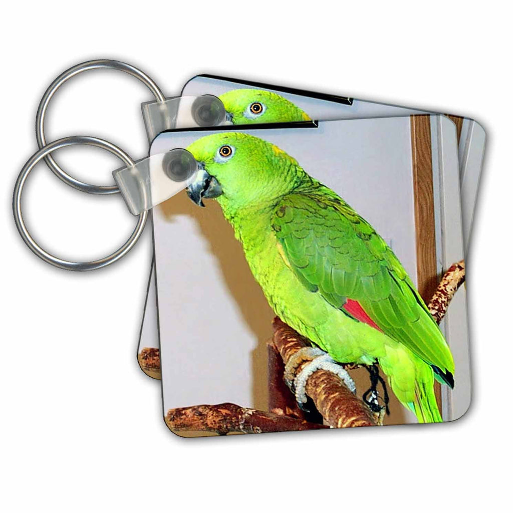 3dRose Key Chains Yellow Nape Parrot (kc-948-1)