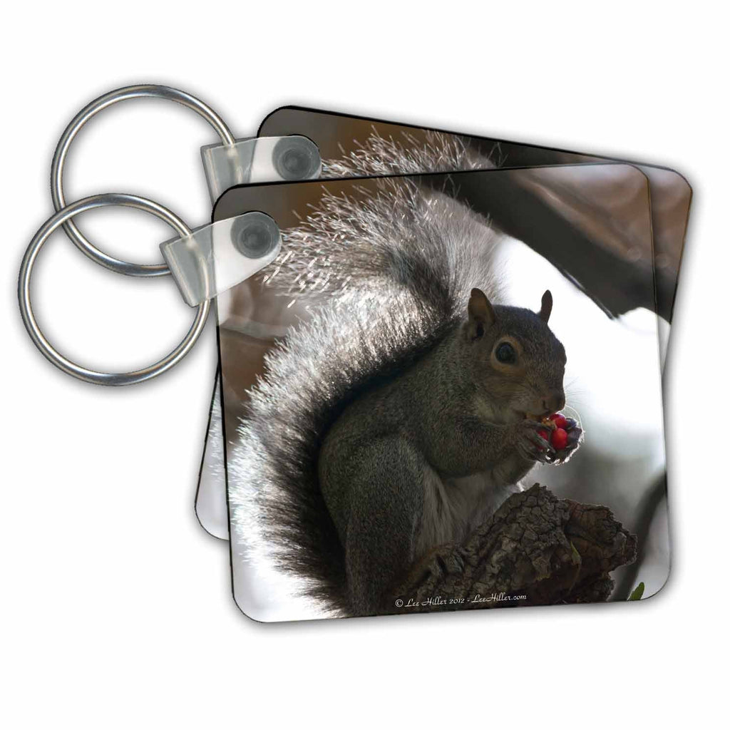 3dRose Key Chains Squirrel in Tree Eating Bright Red Berries (kc-97699-1)