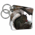 3dRose Key Chains Squirrel in Tree Eating Bright Red Berries (kc-97699-1)