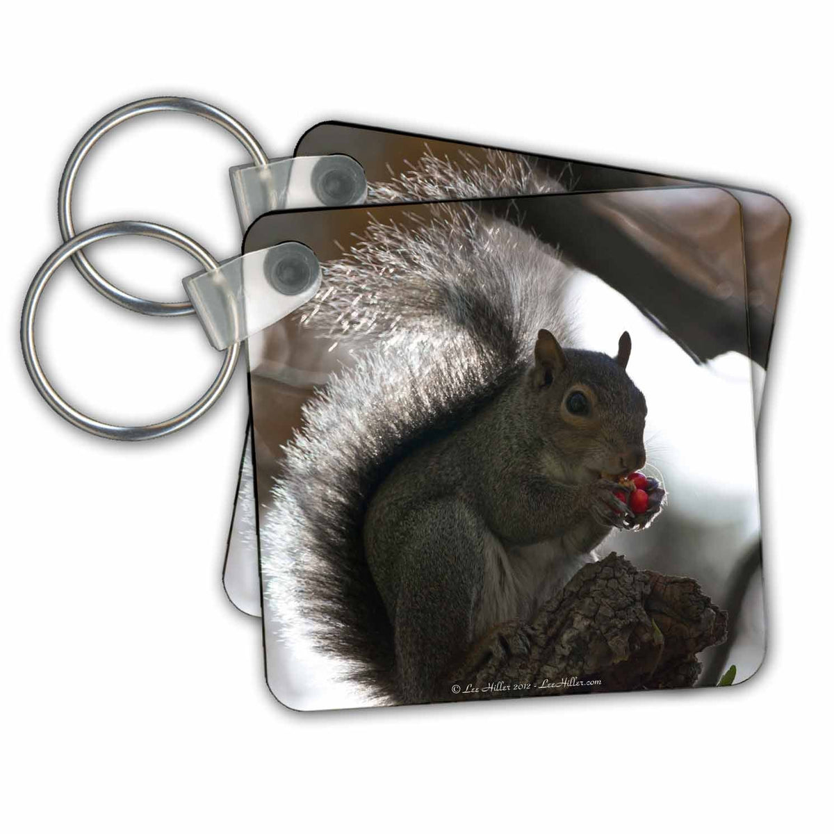 3dRose Key Chains Squirrel in Tree Eating Bright Red Berries (kc-97699-1)