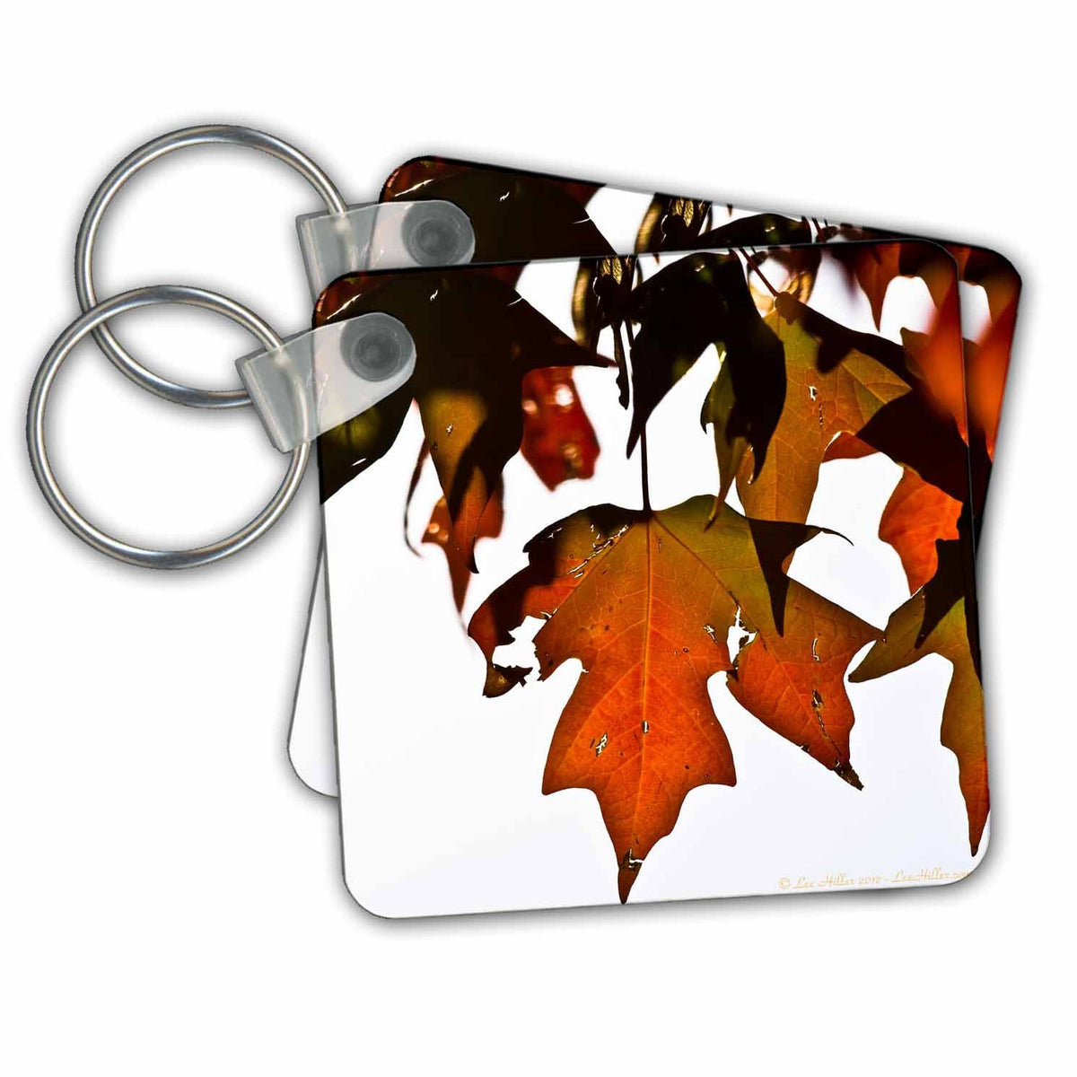 3dRose Key Chains Orange Green Maple Leaf (kc-97702-1)