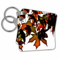 3dRose Key Chains Orange Green Maple Leaves (kc-97703-1)