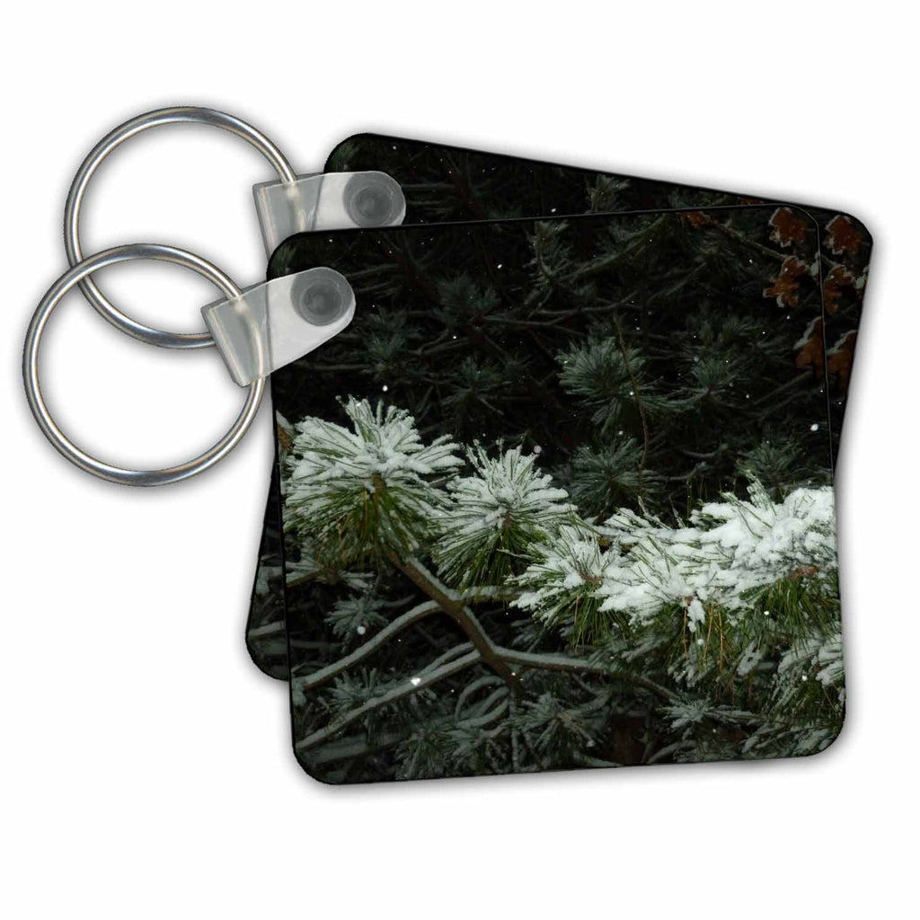 3dRose Key Chains Snow Covering Pine Boughs (kc-99096-1)