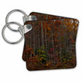 3dRose Key Chains Autumn trees in North Georgia Mountains (kc-99142-1)