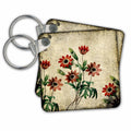 3dRose Key Chains Vintage Anemones Botanical Art (kc-99165-1)
