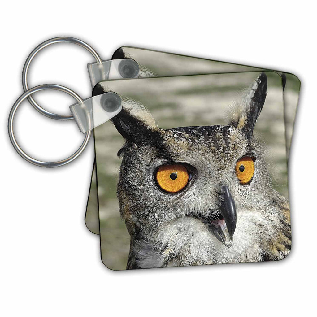 3dRose Key Chains Eagle Owl, Bubo bubo, (kc-9920-1)
