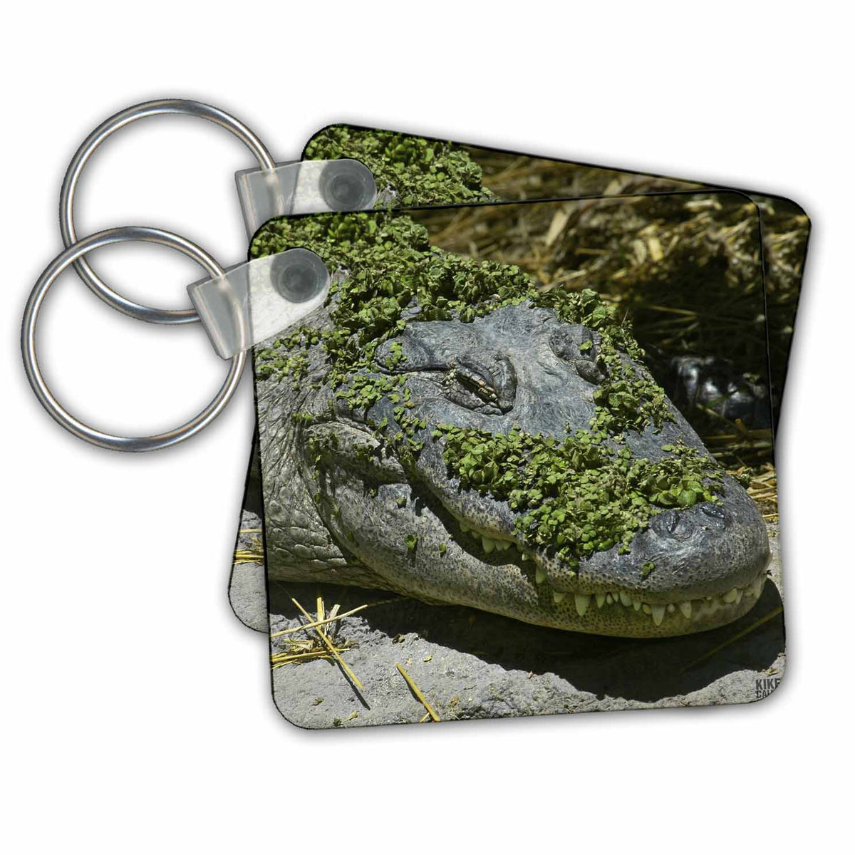 3dRose Key Chains Alligator (kc-9941-1)