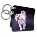 Key Chain - White Tiger Tigers