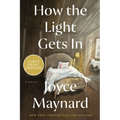 How the Light Gets in - Paperback