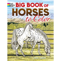Big Book of Horses to Color - Paperback