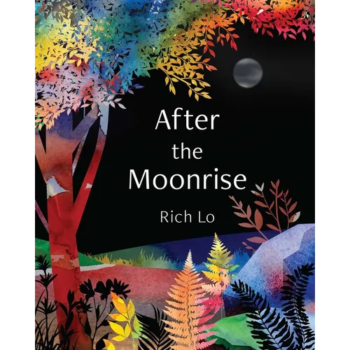 After the Moonrise - Hardcover