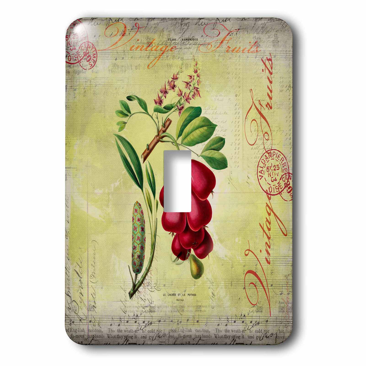 3dRose Vintage Illustration with Red Fruits and Text Elements - Light Switch Covers (LSP_325610)