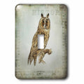 3dRose Vintage Owl Illustration with Old Text Fragments - Light Switch Covers (LSP_325614)