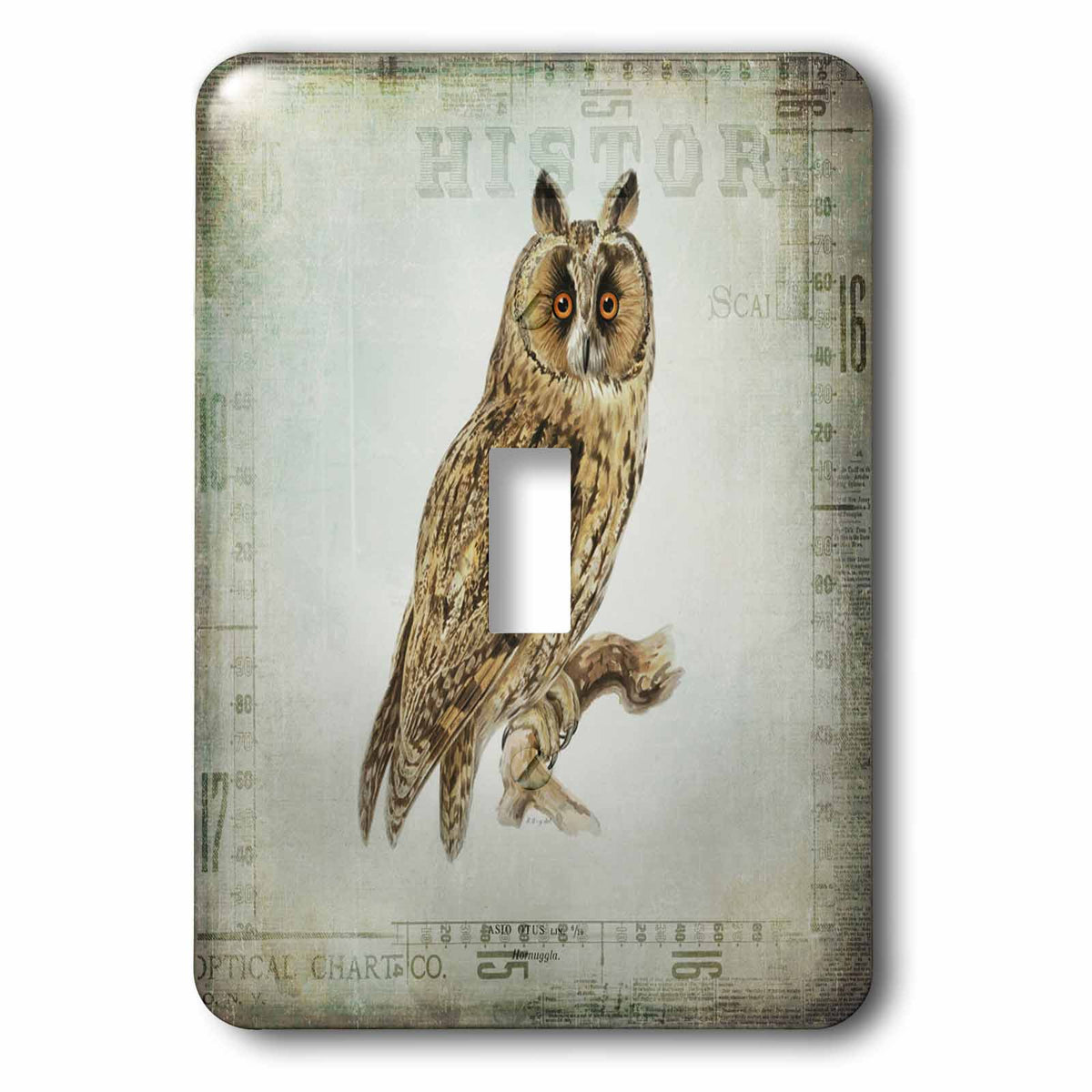 3dRose Vintage Owl Illustration with Old Text Fragments - Light Switch Covers (LSP_325614)