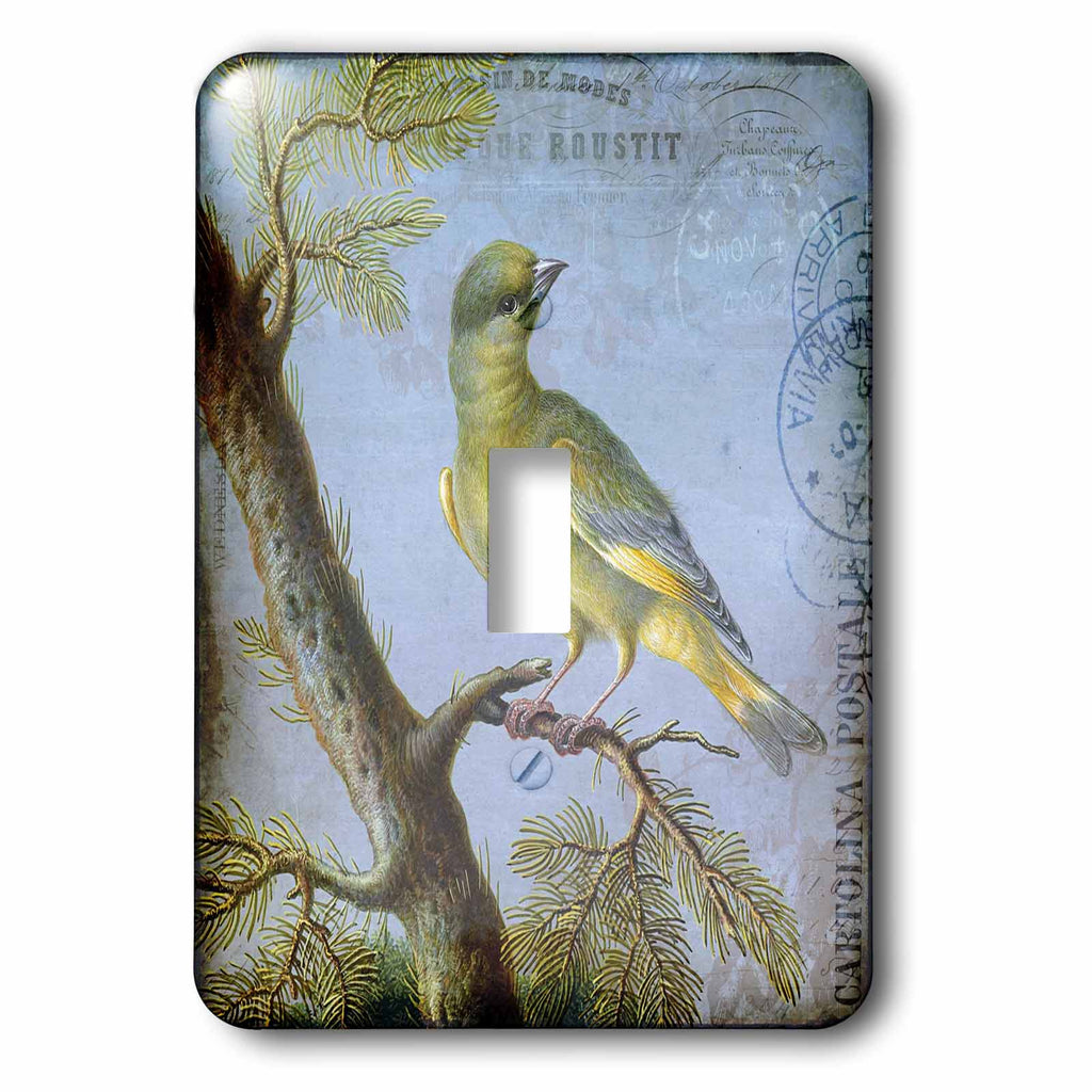 3dRose Nostalgic Bird Illustration - Light Switch Covers (LSP_325619)