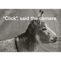 Click, Said the Camera - Spiral