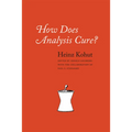 How Does Analysis Cure? - Hardcover