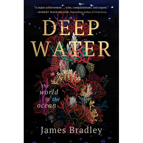 Deep Water: The World in the Ocean - Paperback