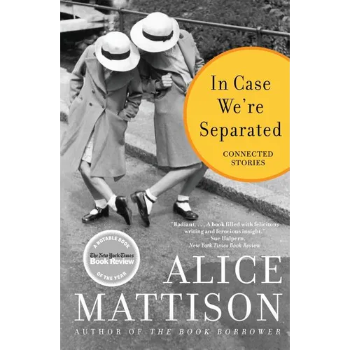 In Case We're Separated: Connected Stories - Paperback