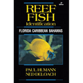 Reef Fish Identification: Florida Caribbean Bahamas - Paperback