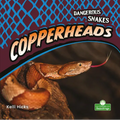 Copperheads - Paperback