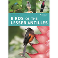 Birds of the Lesser Antilles - Paperback