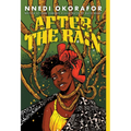 After the Rain - Paperback