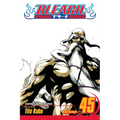 Bleach, Vol. 45: The Burnout Inferno - Paperback