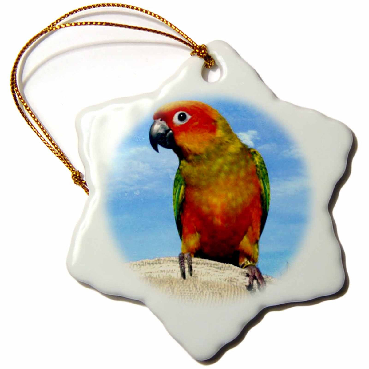 3dRose Birds - Sun Conure - Ornaments (ORN_1011)