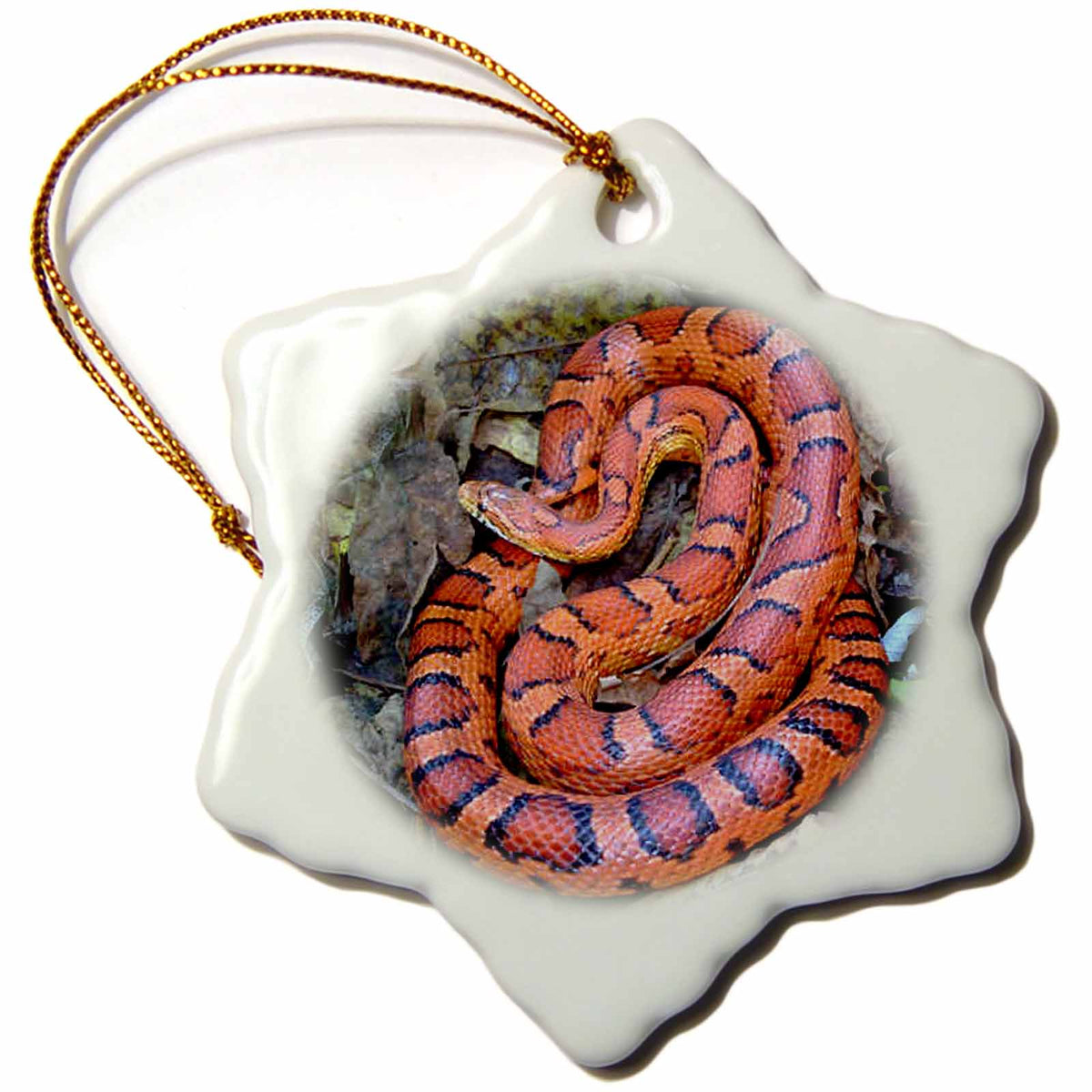 3dRose Snakes - Corn Snake - Ornaments (ORN_1486)