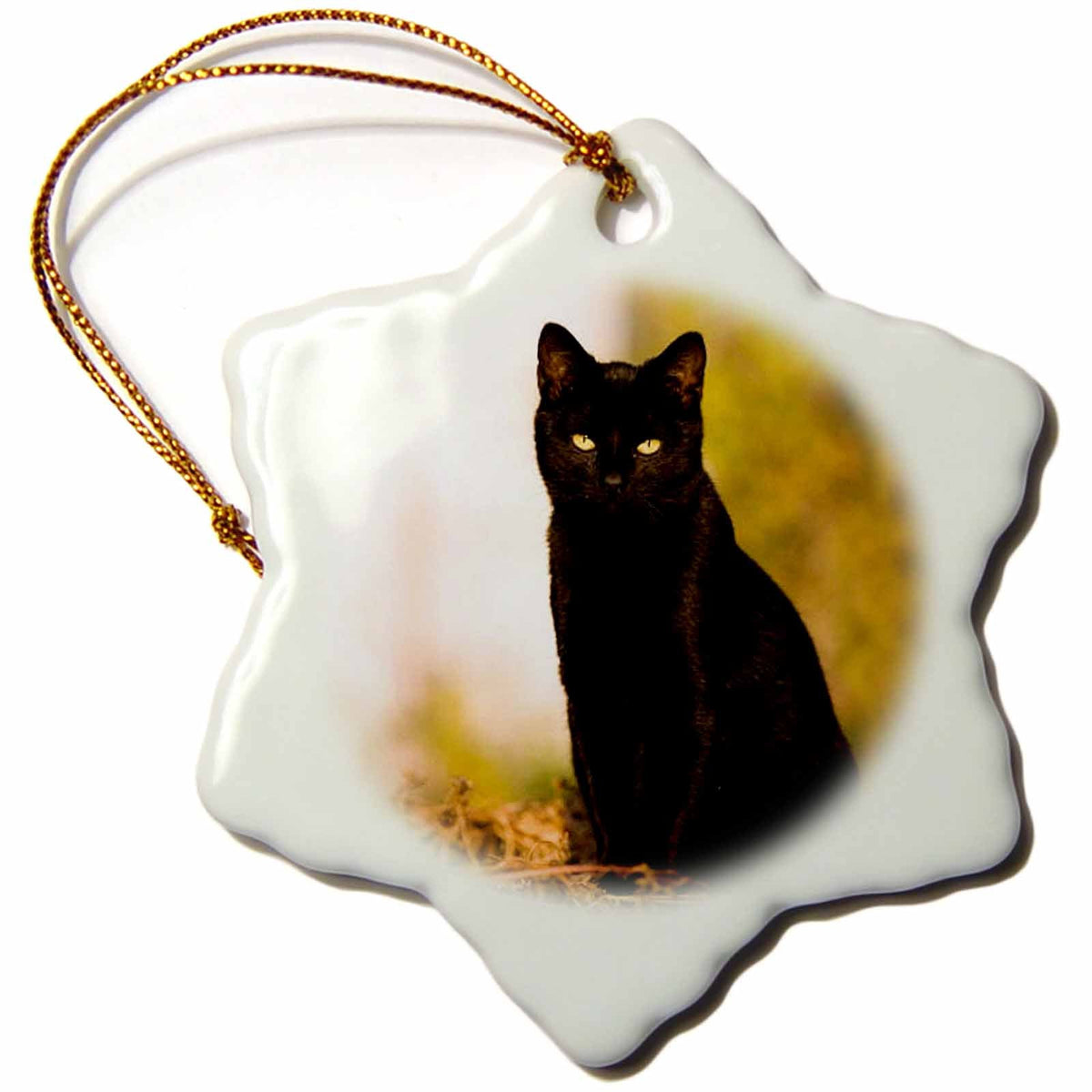 3dRose Cats - Black Cat - Ornaments (ORN_3163)