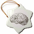 3dRose TNMGraphics Science - Brain - Ornaments (ORN_38393)
