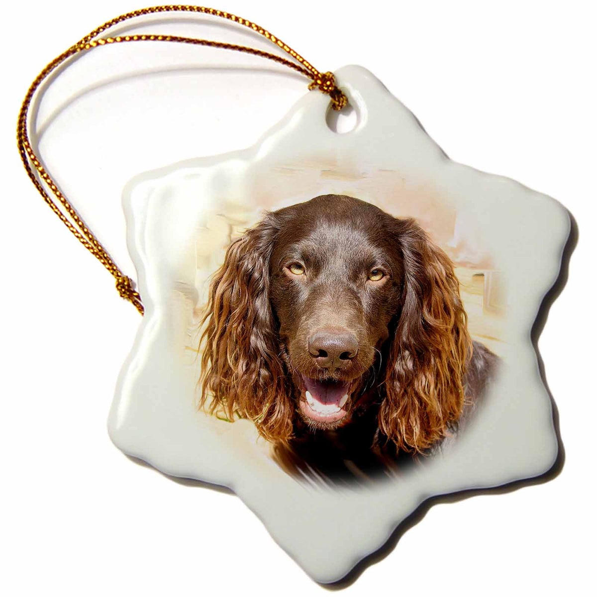 3dRose Dogs Boykin Spaniel - Boykin Spaniel - Ornaments (ORN_4432)