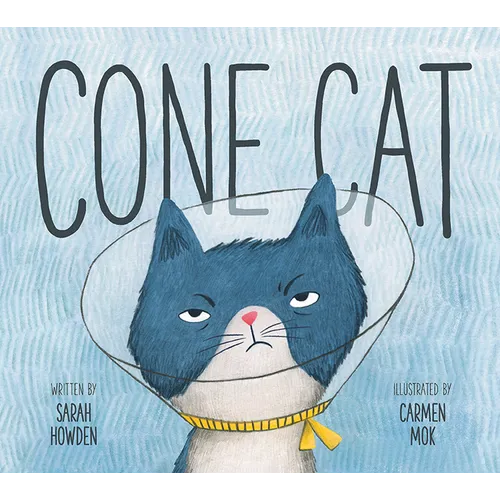 Cone Cat - Hardcover