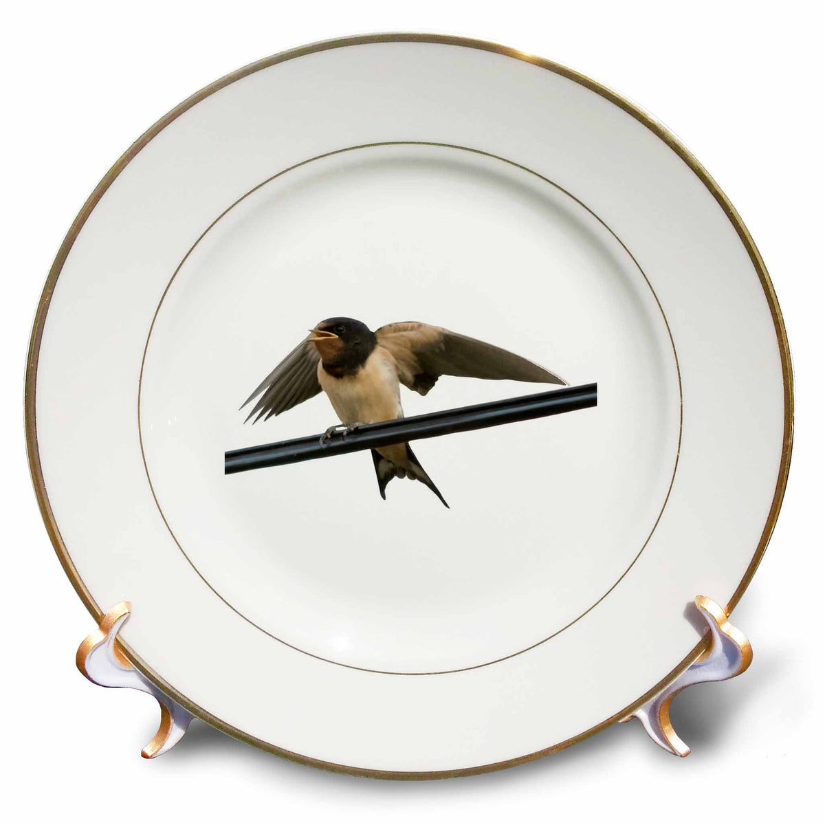 3dRose Swallow On A Wire Wings Outstretched Cut Out - Plates (cp-382537)
