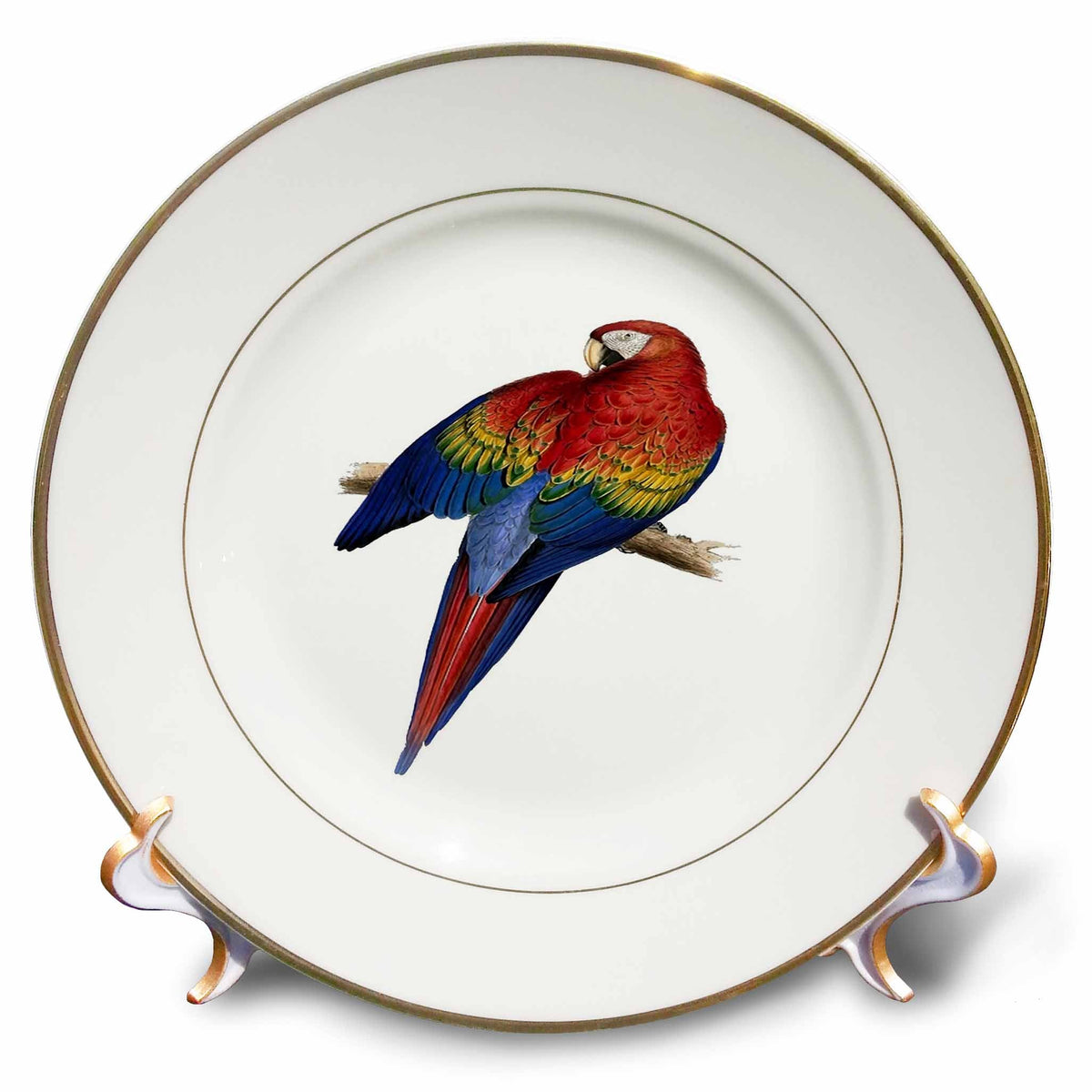 3dRose Scarlet Macaw Perched On A Branch Illustration - Plates (cp-382548)