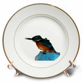3dRose Turquoise Blue Fishing Bird Vector Art - Plates (cp-382552)