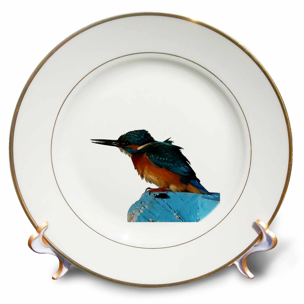3dRose Turquoise Blue Fishing Bird Vector Art - Plates (cp-382552)