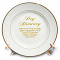 3dRose Allowed Dry Drinks Throughout January Social Drinkers Fun - Plates (cp-382591)