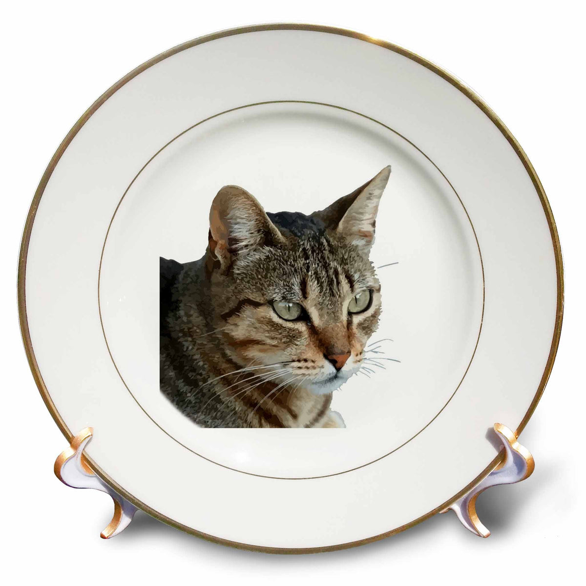 3dRose Stunning Tabby Cat Close Up Portrait Vector Isolated - Plates (cp-383403)