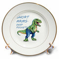 3dRose Short Arms and Deep Pockets Fun TRex Illustration - Plates (cp-384677)