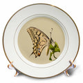 3dRose Taiche - Vector Art - Butterfly - Swallowtail Butterfly Vector Isolated - Plates (cp-385206)