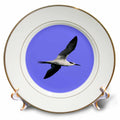 3dRose Sandwich Tern Seagull Bird In Flight Cut Out - Plates (cp-385211)