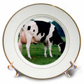 3dRose Farm Animals - Holstein Cow - Plates (cp_623)