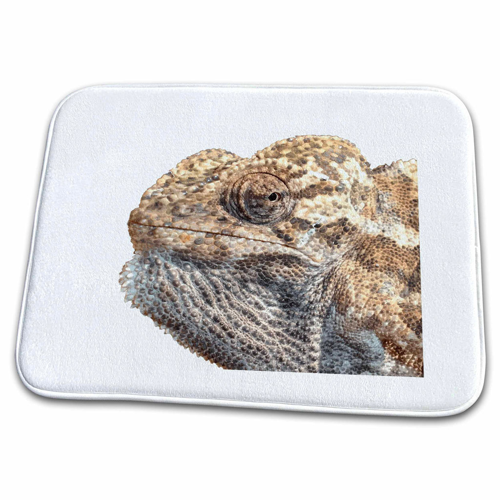 Dish Drying Mat - Chameleon With Sinister Facial Expression Vector Art Cut Out Vector Art - Chameleon Close Up
