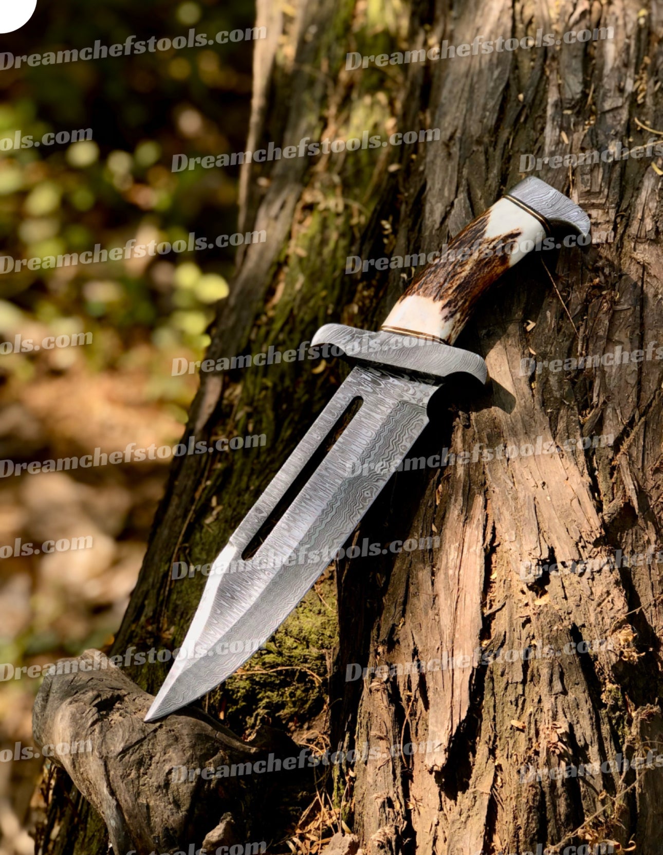 15" Handmade Damascus Steel Bowie Knife – Full Tang with Stag Antler Handle & Damascus Steel Guard, Includes Leather Sheath