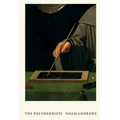The Polyhedrists: Art and Geometry in the Long Sixteenth Century - Paperback