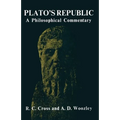 Plato's Republic: A Philosophical Commentary - Paperback